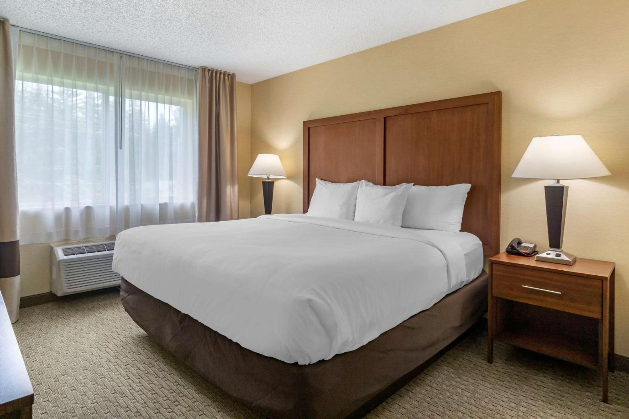 Comfort Inn & Suites Bothell - Seattle North Rom bilde